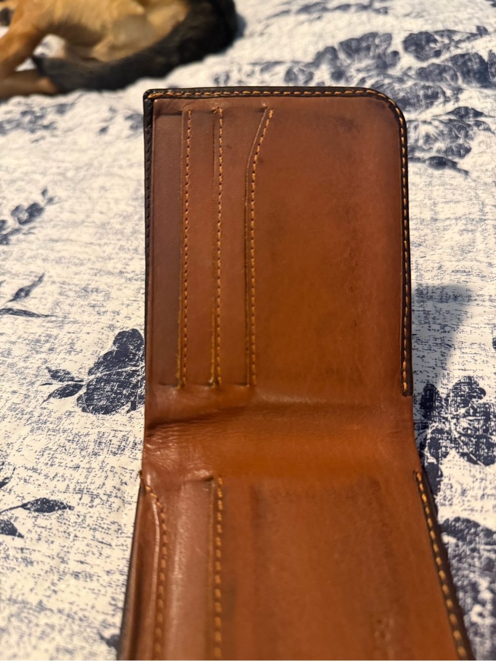 Bellroy Hide & Seek - Java - Picture 5 of 7